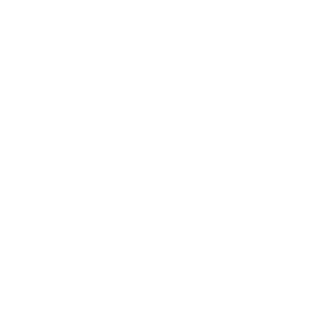 Gnoxis Logo